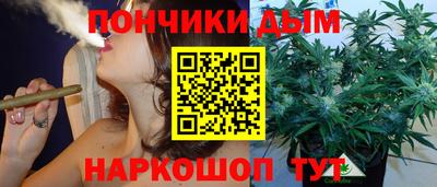 дмт Можга