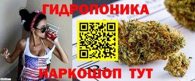 a pvp Можайск