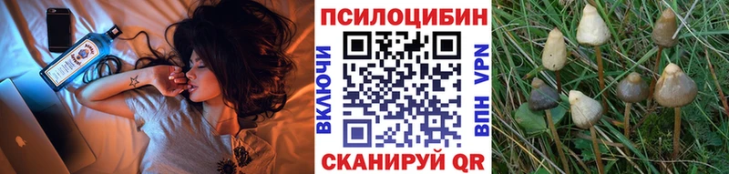 Галлюциногенные грибы MAGIC MUSHROOMS  цена   Чебоксары 